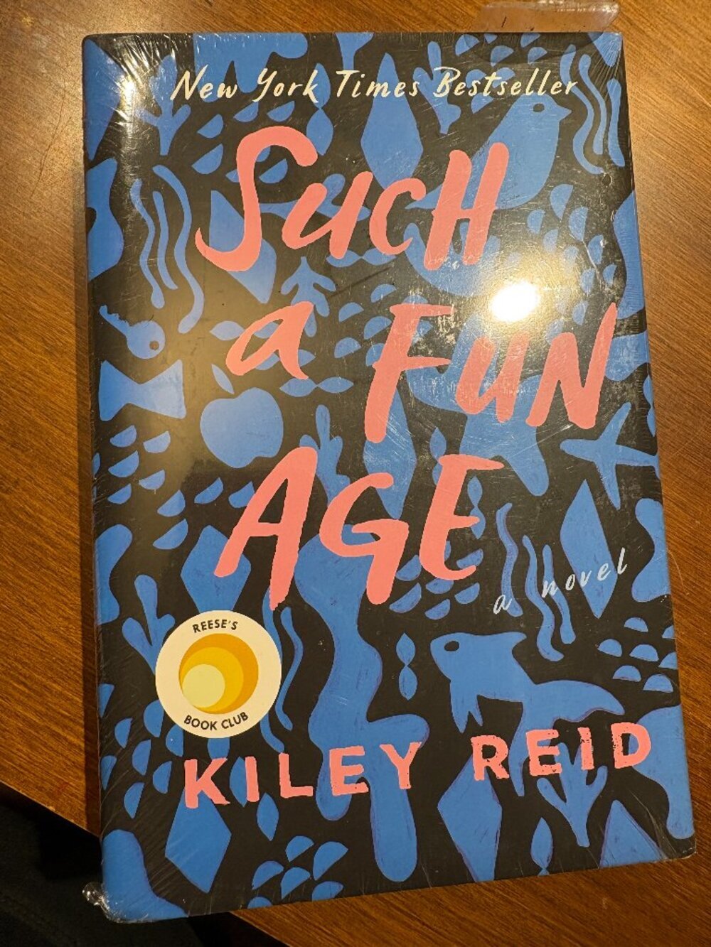 Book: Such a Fun Age by Kiley Reid